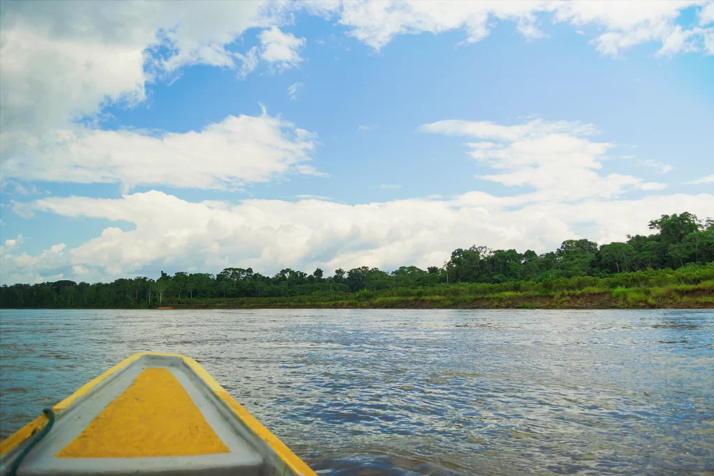 stagione delle piogge amazzonia - pioggia