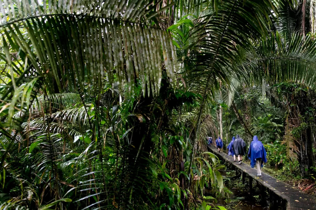 Centro di vita selvaggia di Napo