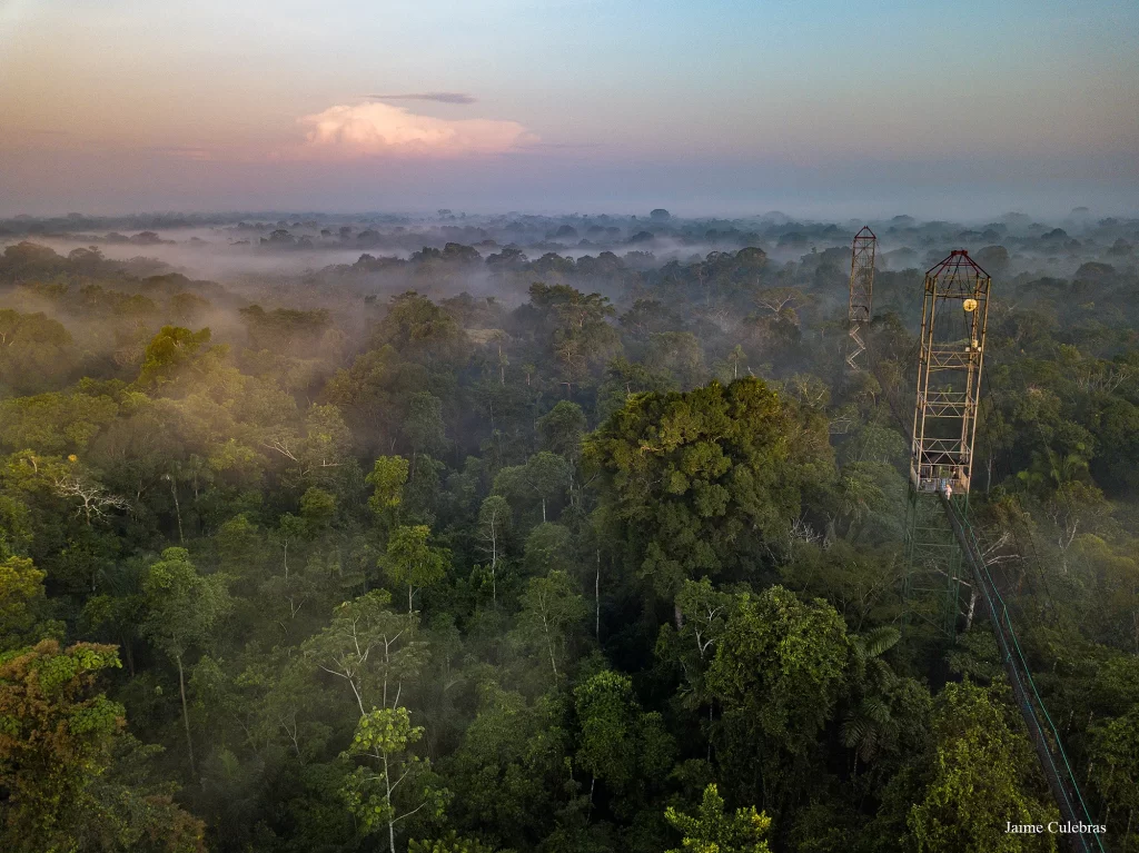 paesaggio della giungla amazzonica ecuadoriana